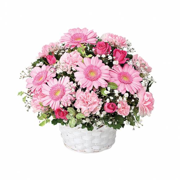 埼玉県さいたま市緑区の花屋 フラワーショップ タッチにフラワーギフトはお任せください 当店は 安心と信頼の花キューピット加盟店です 花 キューピットタウン