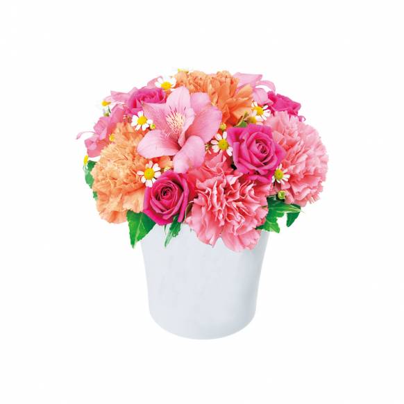 埼玉県さいたま市緑区の花屋 フラワーショップ タッチにフラワーギフトはお任せください 当店は 安心と信頼の花キューピット加盟店です 花 キューピットタウン