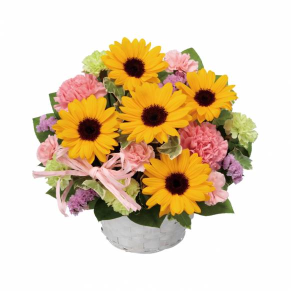 5000円 ～ 8000円まで の花 | 埼玉県さいたま市緑区の花屋